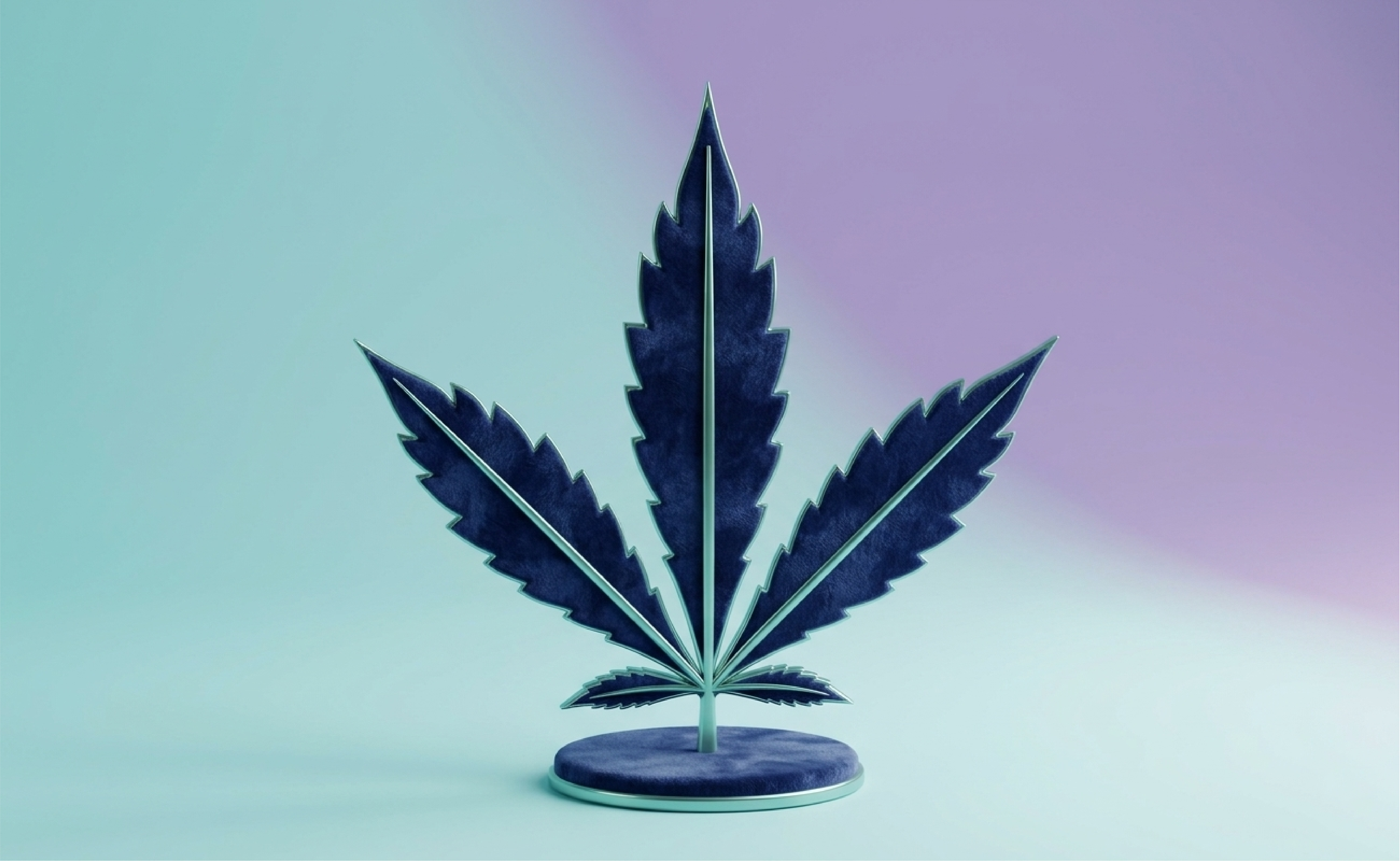 Marijuana & Cannabis